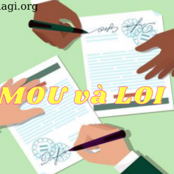 Memorandum of understanding (MOU) là gì? Letter of Intent (LOI) là gì?