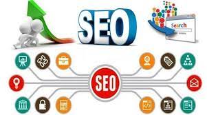seo website tong the