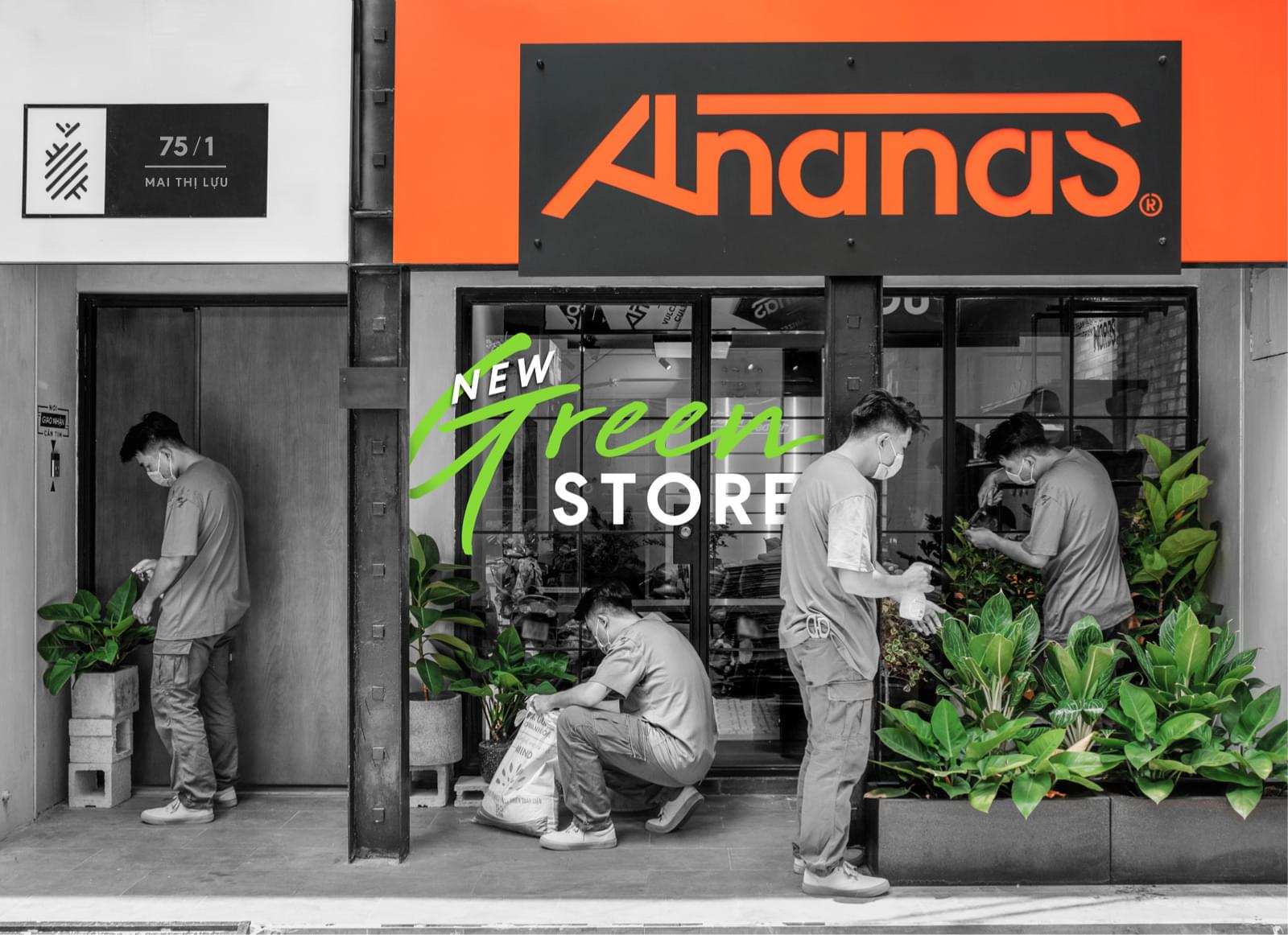 Hệ thống phân phối của thương hiệu Ananas chủ yếu tập trung ở Sài Gòn