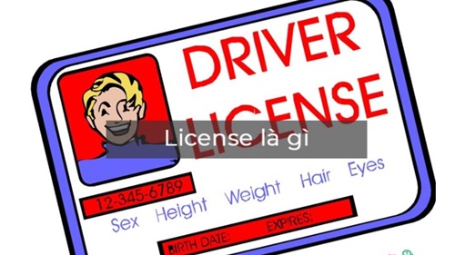 license key