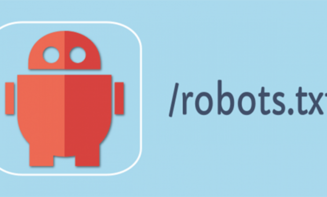 robot.txt Wordpress