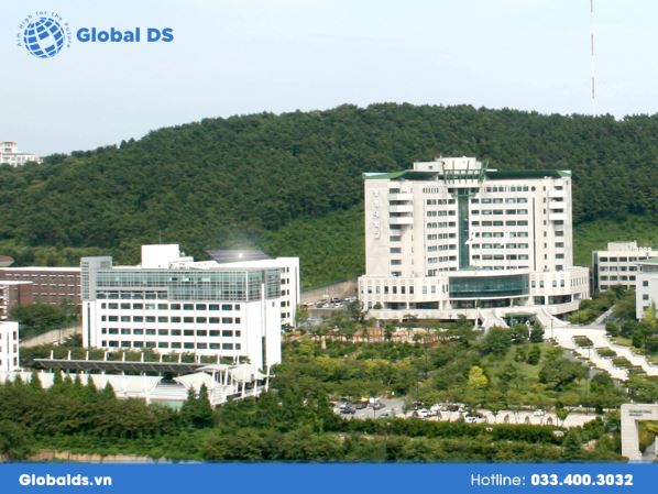  top trường đại học Hàn Quốc